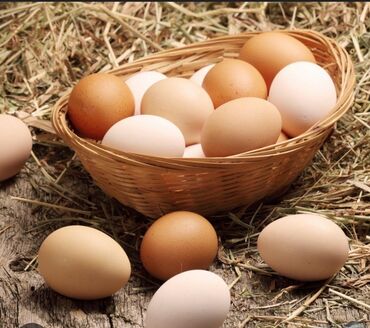 яйцо бройлера: Продаю куриные домашние яйца