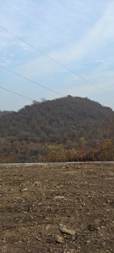Torpaq sahələrinin satışı: 11 sot, Tikinti, Mülkiyyətçi, Kupça (Çıxarış) — 3
