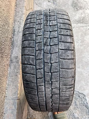 вдоль реки: Зимняя шина Dunlop (без шипов, Studless) - Размер: 225/55 R17 - — 3