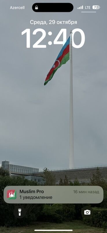 qaqa şəkilləri: Подарю картину гранатовое дерево lalafo.az -da qaqa şəkilləri: Подарю картину гранатовое дерево