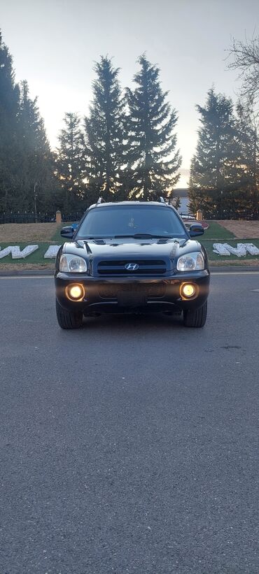 qoşqusu olan avtomobil: Hyundai Santa Fe: 2.7 l | 2004 il Ofrouder/SUV