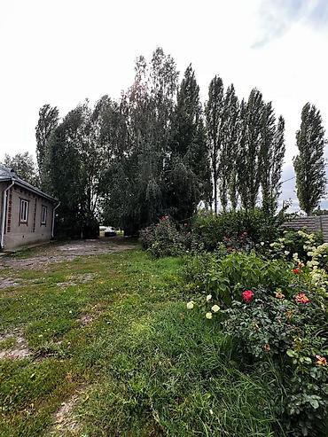 120: 📌В селе Беловодское срочно продаётся дом 120 кв м на участке 40 соток — 6