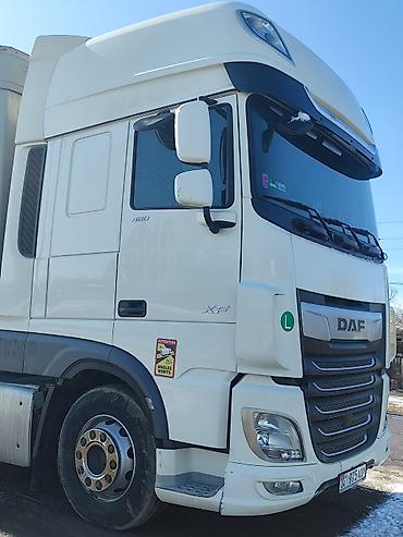 Тягачи: Тягач, DAF, 2019 г. — 4