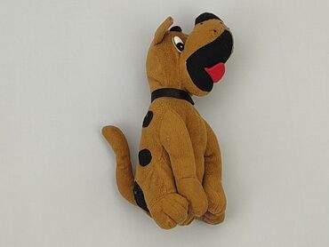 Children's Items: Mascot Dog, condition - Fair