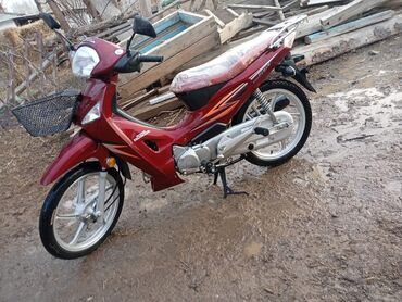 Скутеры: Скутер Honda, 125 куб. см, Бензин, Новый
