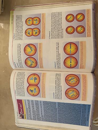 Книги и журналы: Məhsul: Sürat Scientific Books – Biology Series, “Biology 2” dərsliyi — 3