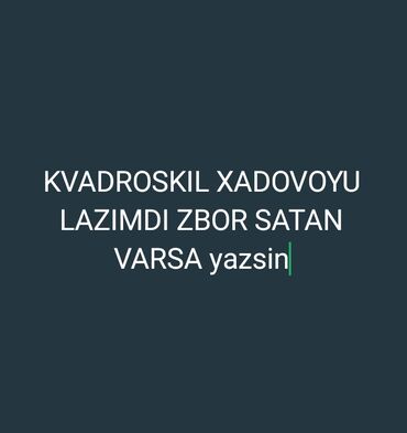 Radiatorlar: Kvadroskil üçün xadovoy hissələr axtarılır. Zbor satılan hissələr