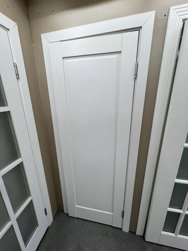 двери межкомнотные: Doors with glass