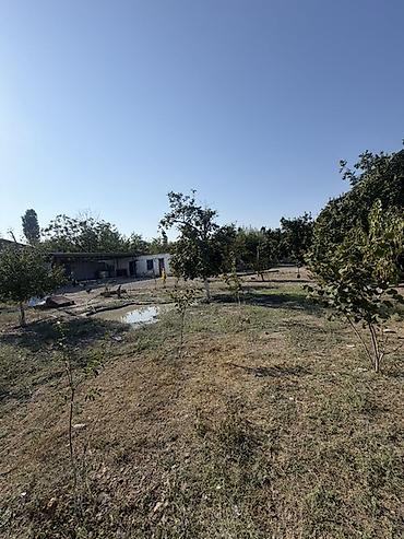 Torpaq sahələrinin satışı: 25 sot, Tikinti, Mülkiyyətçi, Kupça (Çıxarış) — 14