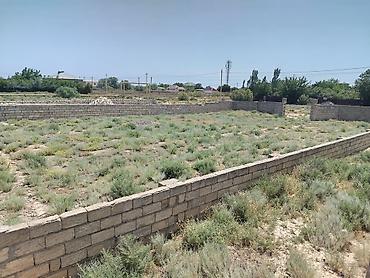 Torpaq sahələrinin satışı: 6 sot, Tikinti, Kupça (Çıxarış) -da lalafo.az — 2 Torpaq sahələrinin satışı: 6 sot, Tikinti, Kupça (Çıxarış) — 2