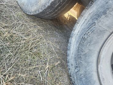 Тягачи: Тягач, DAF, 2000 г., Шторный — 15