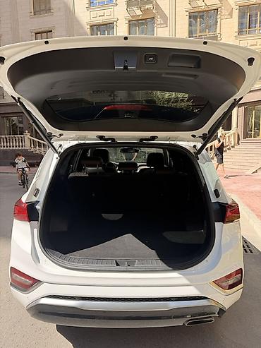 шина 19: Hyundai Santa Fe: 2019 г., 2 л, Автомат, Бензин, Кроссовер — 7