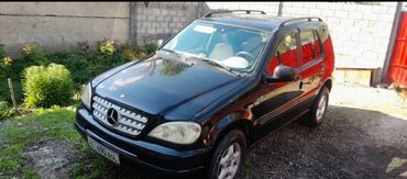 Mercedes-Benz: Mercedes-Benz M-Class: 1999 г., 3.2 л, Автомат, Бензин