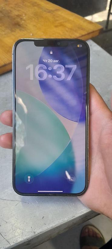 sm57 микрофон: IPhone 12 Pro Max, Б/у, 256 ГБ, Графит, 75 % — 5