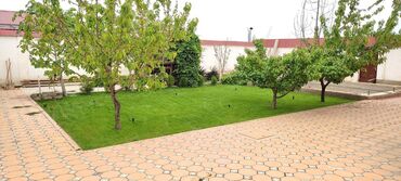 Газон: Газон и Автополив жасайбыз баасы келишим турдо болот! — 4