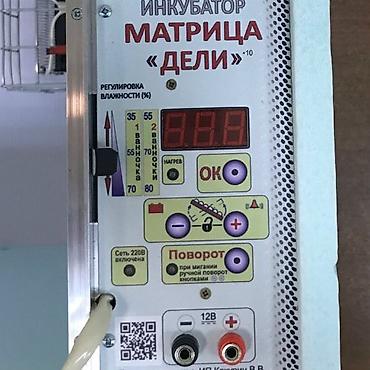 инкубатор лупер: Инкубатор Матрица “ДЕЛИ”: Сатылат фирма Блиц Россиядан келген — 4
