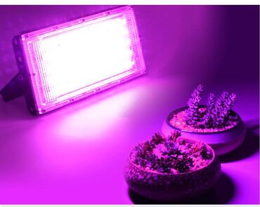 Baštenska rasveta: Led sijalice za rast bilja e27 full spektar Uv Led Grow 72l — 16