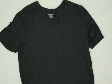 wojan koszulki allegro: T-shirt for men, L (EU 40), condition - Very good