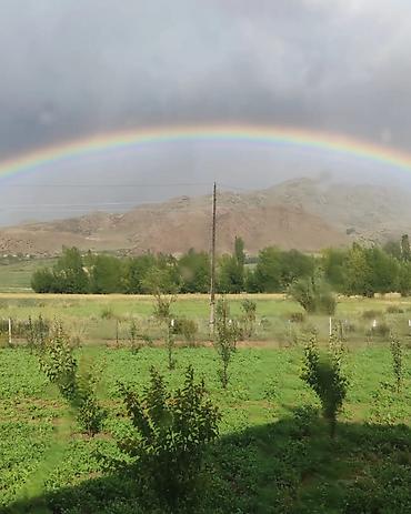 Продажа коттеджей и домов: ✨ Продаётся большой кашар ✨ 📍 Район Боконбай (село) 🏡 Дом: 🛏 4 комнаты — 2