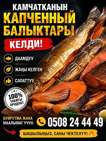 копчения рыбы: Камчатская копчёная рыба - Натуральный продукт 100% - Филе — 1