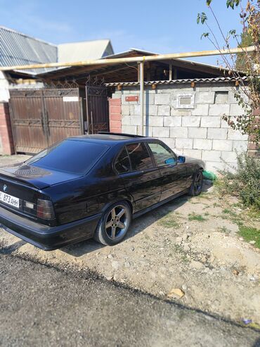химия на авто: BMW 525: 1991 г., 2.5 л, Механика, Бензин, Седан