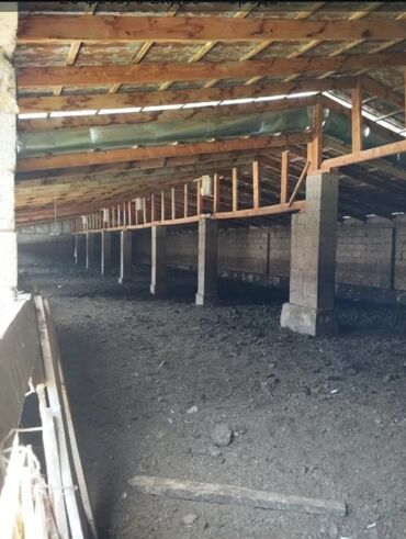 Продажа домов: Дом, 500 м², 1 комната, Агентство недвижимости, Старый ремонт — 7