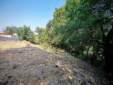 Hazır biznes: 🔥 TƏCİLİ SATILIR – HAZIR ÇÖRƏK DAĞITIM BİZNESİ + 10 SOT TORPAQ — 8