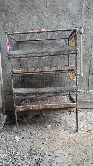 Товары и оборудование для с/х животных: Продается клетка для перепел at lalafo.kg — 4 Товары и оборудование для с/х животных: Продается клетка для перепел — 4