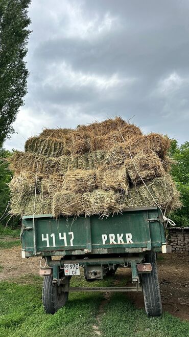 эшек жаныбар: Продаю тюки клевер 300шт.
Цена 350сом за тюк.
Самовывоз г. Карабалта