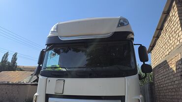 машины 2023: Грузовик, DAF, Стандарт