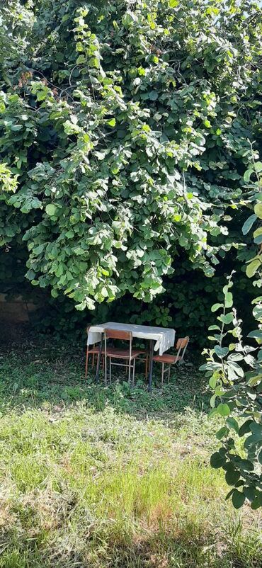 Günlük kirayə evlər: 1200 kv. m, 3 otaqlı — 16