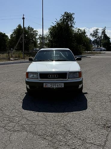 Audi: Audi 100: 1991 г., 2.8 л, Механика, Бензин, Седан — 4