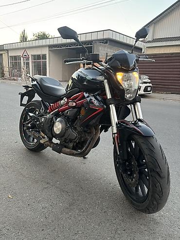 ninja h2: Naked 300 куб. см, Бензин, Взрослый, Б/у — 2