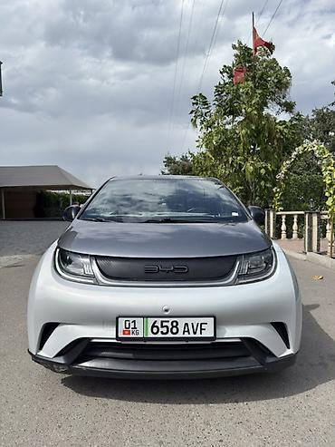byd дельфин: BYD Dolphin: 2022 г., Электромобиль, Хэтчбэк — 2