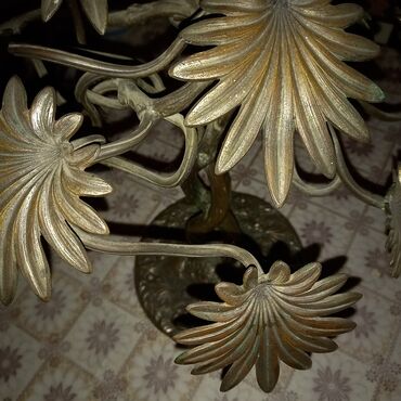 Fiqurlar: Fiqur — 17