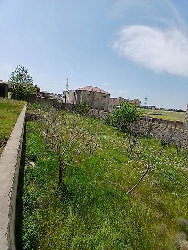 fr emlak: 8 otaq, 250 kv. m, Kredit var, Təmirsiz — 9