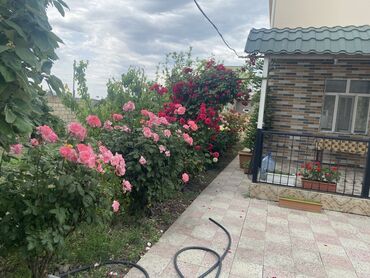 Həyət evləri və villaların satışı: 5 otaqlı, 112 kv. m, Kredit var, Yeni təmirli — 10