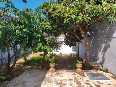Həyət evləri və villaların satışı: 4 otaqlı, 125 kv. m, Kredit yoxdur, Yeni təmirli — 5