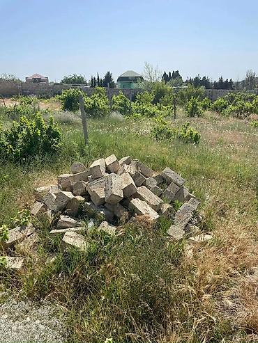 Torpaq: 12 sot, Tikinti, Mülkiyyətçi, Kupça (Çıxarış) — 5