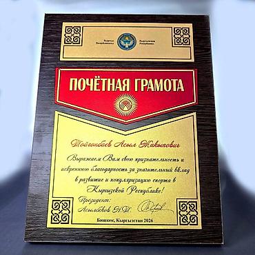 Значки, ордена и медали: Плакетки как наградная атрибутика представляет собой особый статус — 7