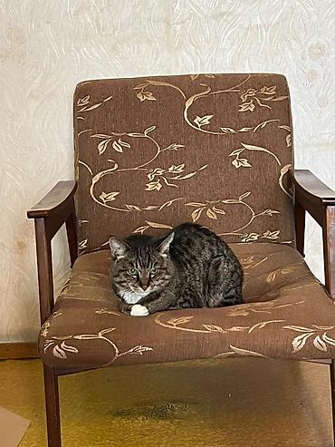 Продажа квартир: 3 комнаты, 58 м², Элитка, 2 этаж, Косметический ремонт — 11