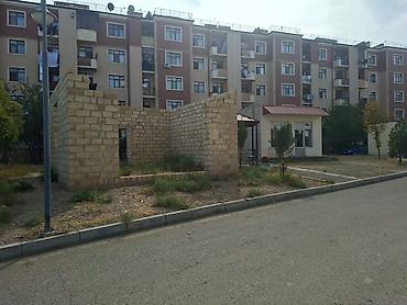 Biznes üçün