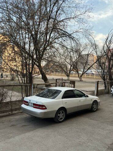 Toyota: Toyota Windom: 1999 г., 2.5 л, Автомат, Бензин, Седан