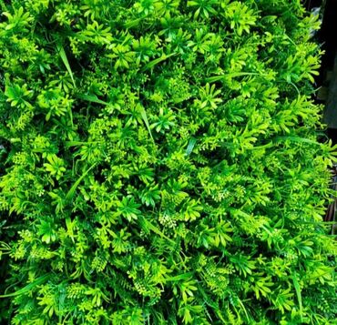 Baštenska dekoracija: Vestacko zelenilo, paneli i dodaci za ukrasavanje prostora, kuce — 1