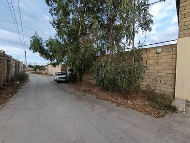 Qarajlar: 8 sot