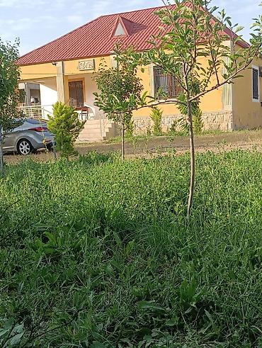 xizi: 3 otaqlı, 100 kv. m, Orta təmir — 2