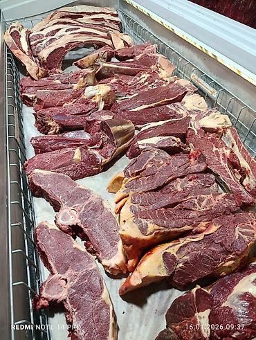 Конина: Жылкы эти устукан жана чучук карын карта бар жылкылар бар бышырып — 11