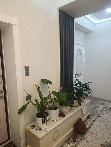 Гарнитуры для прихожей: Гарнитур для прихожей, Шкаф, цвет - Белый — 3