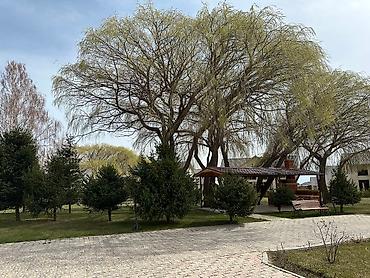 Отдых на Иссык-Куле: Аренда квартиры на Иссык-Куле, Asia Palace, Сары-Ой — 8