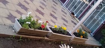 Посуточная аренда домов: 150 м², 6 комнат, Утепленный, Бронированные двери, Видеонаблюдение — 6